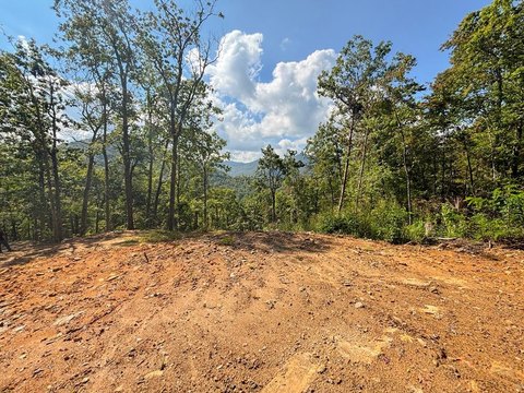 Tuckasegee Land with Subdivision Potential