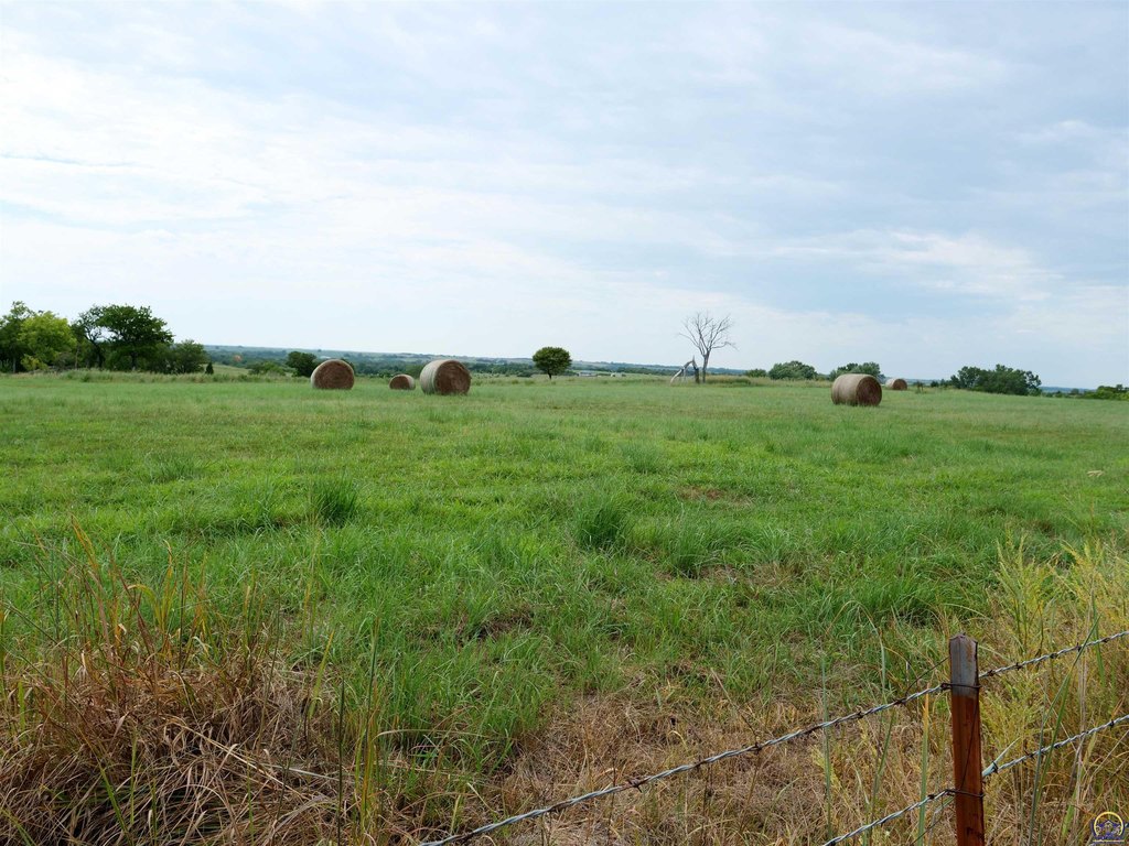 Picture 11