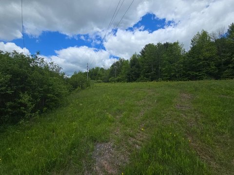 Wooded Recreational Hunting Land Parcel