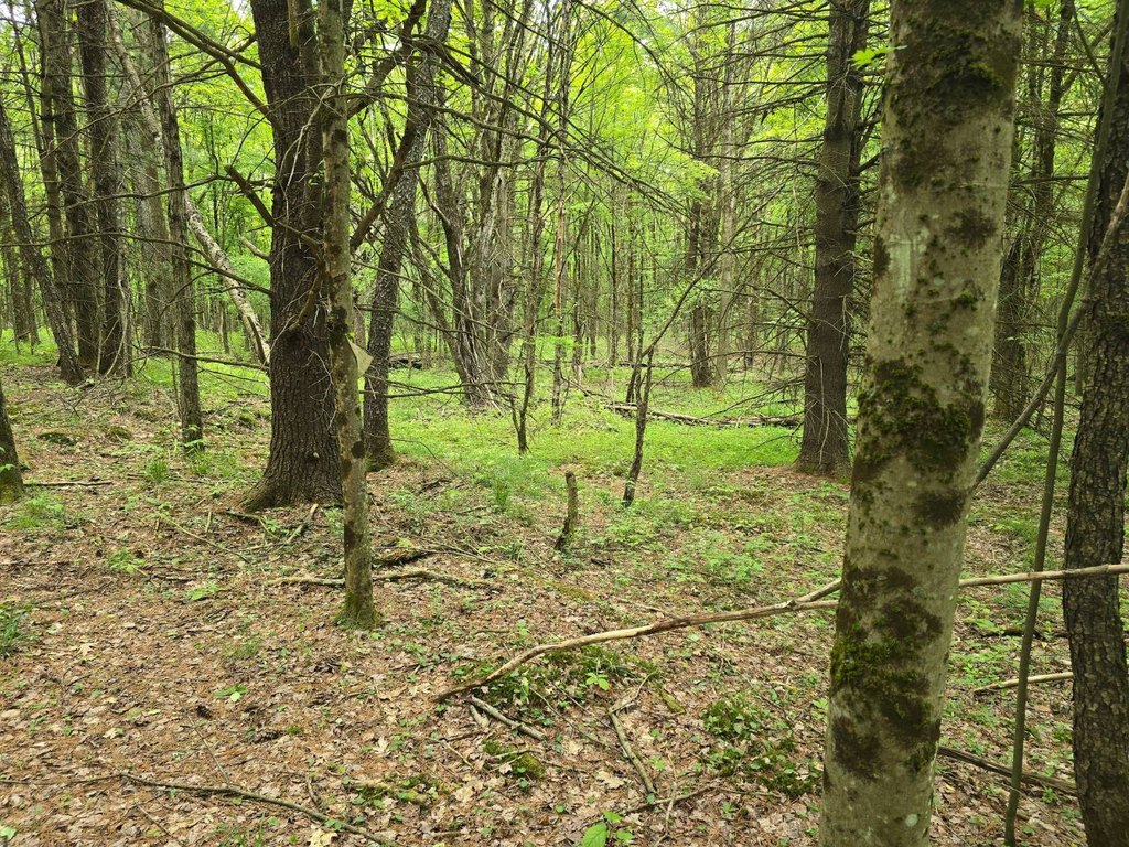 Picture 28