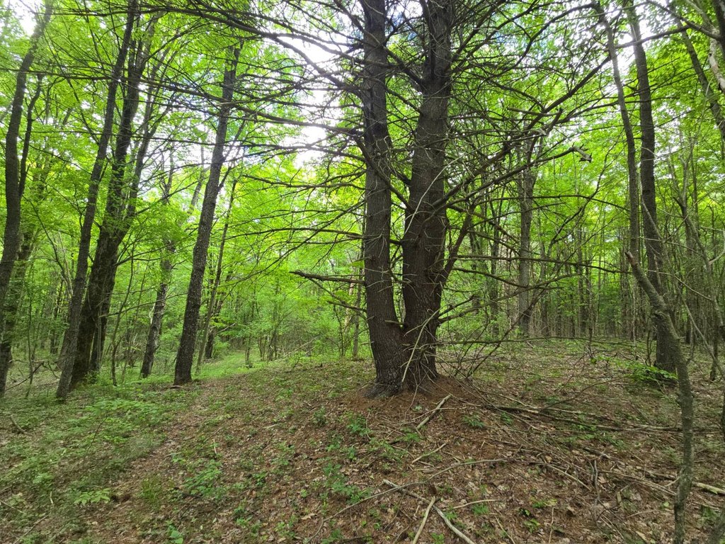 Picture 22