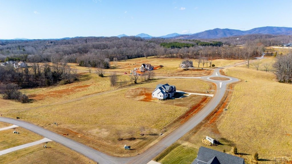 Picture 7
