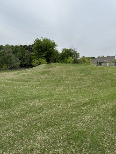 Picture 30