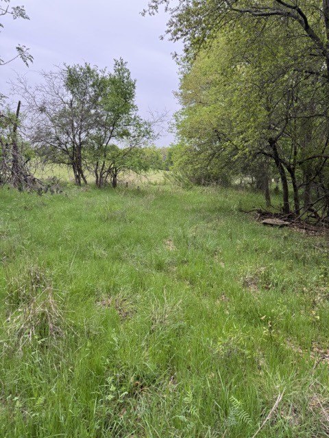 Picture 10