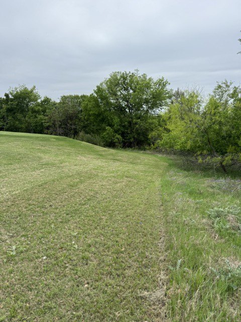 Picture 17