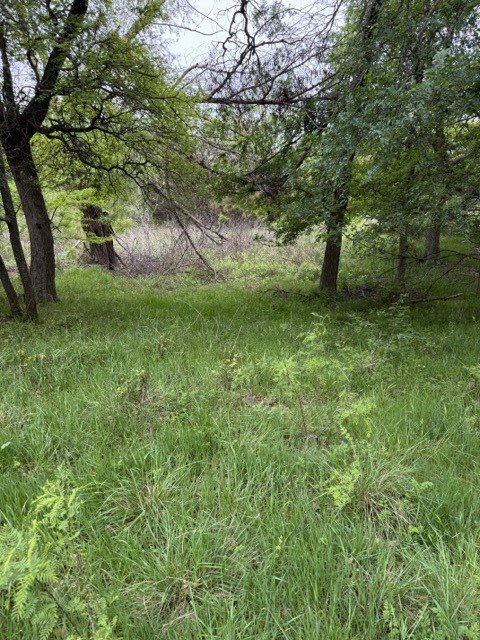Picture 8