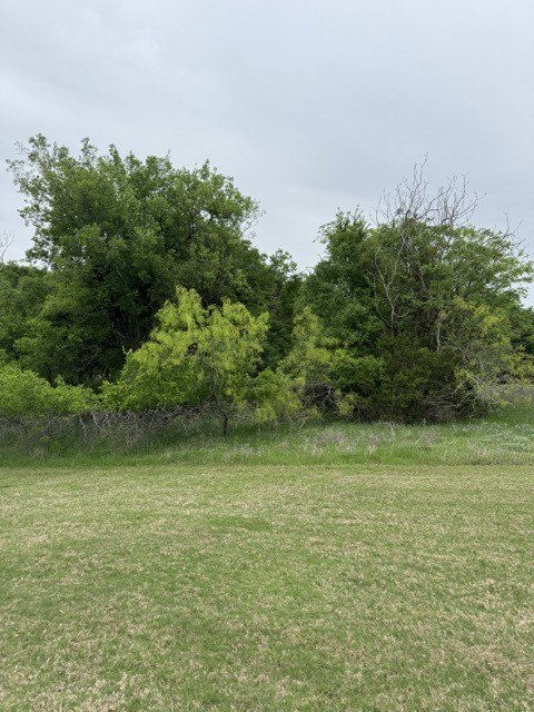 Picture 26