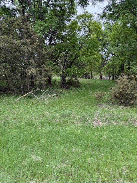 Picture 2