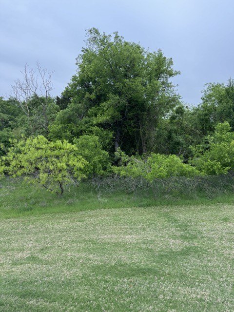 Picture 23