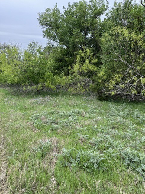 Picture 15
