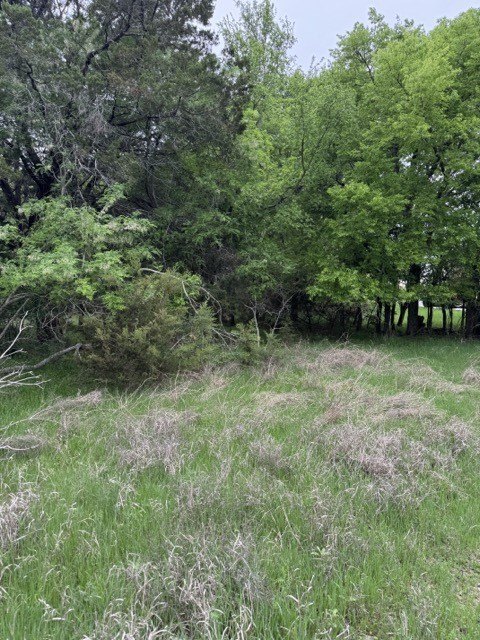 Picture 14