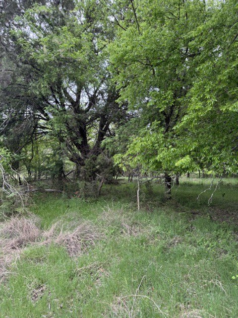 Picture 31