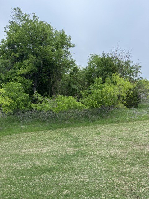Picture 25