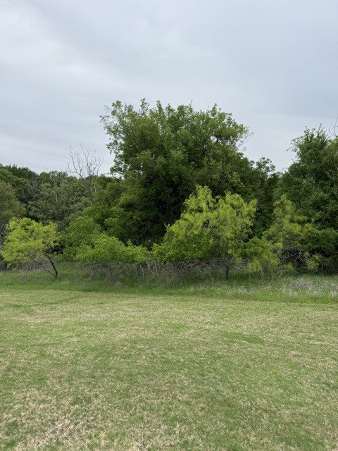Picture 27