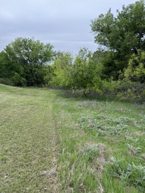 Picture 16