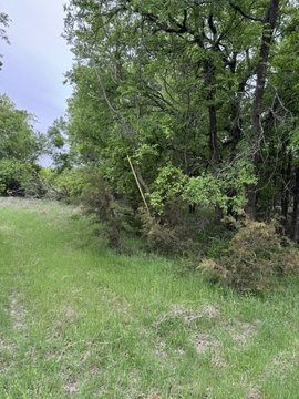 Land, Whitney, TX
