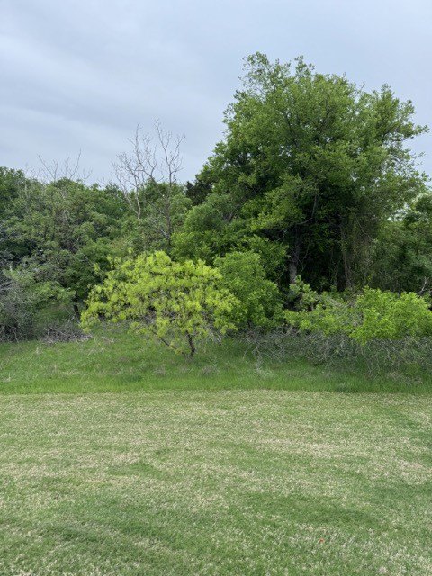 Picture 24