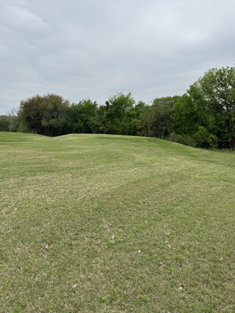 Picture 18