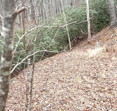 Land in Robbinsville (Graham), NC