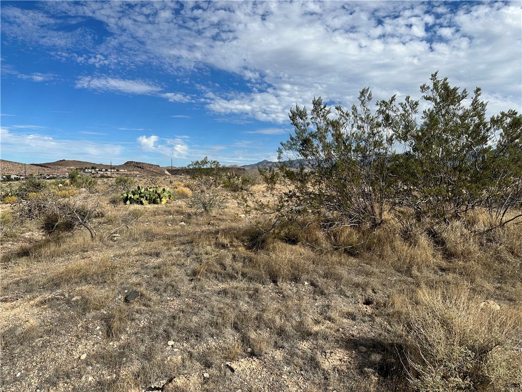 Picture 21