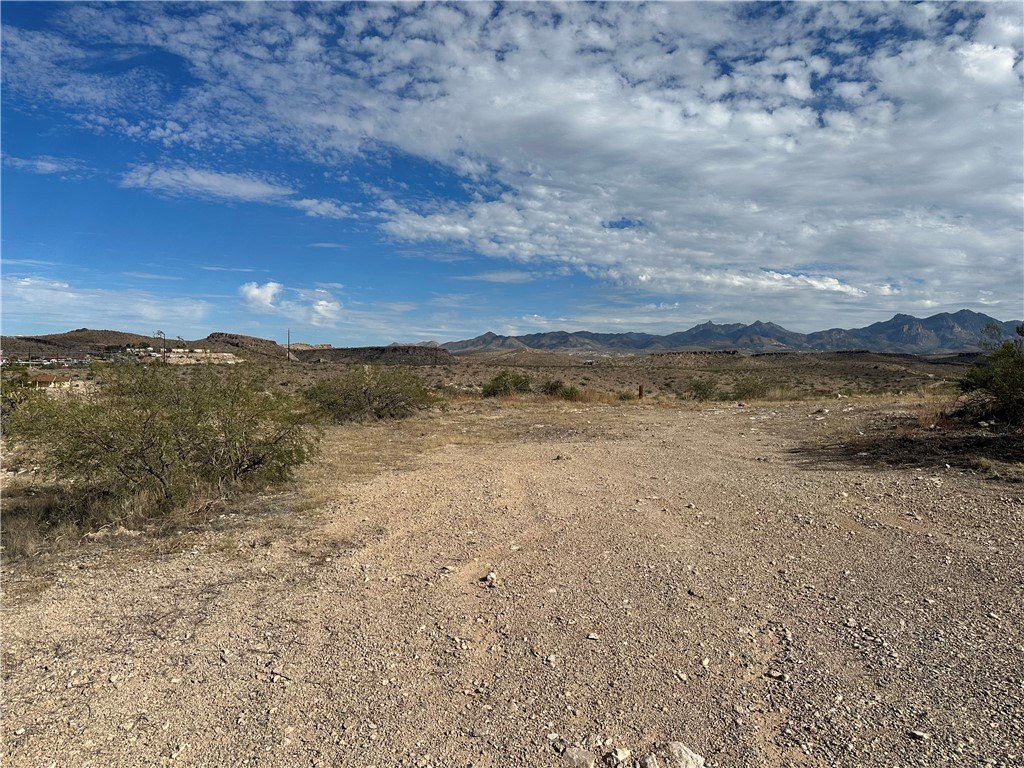 Picture 19