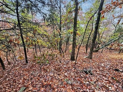 Vacant Land, Vian, OK