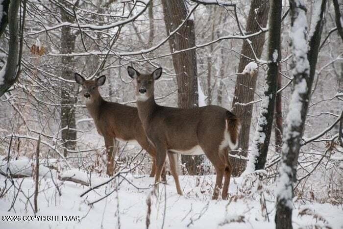 Pocono Lake 0.52-Acre Corner Lot