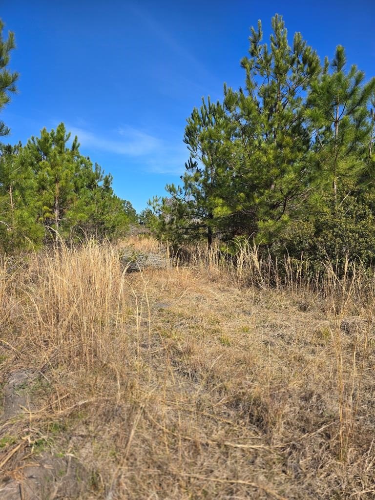 Residential Land in Naylor, GA