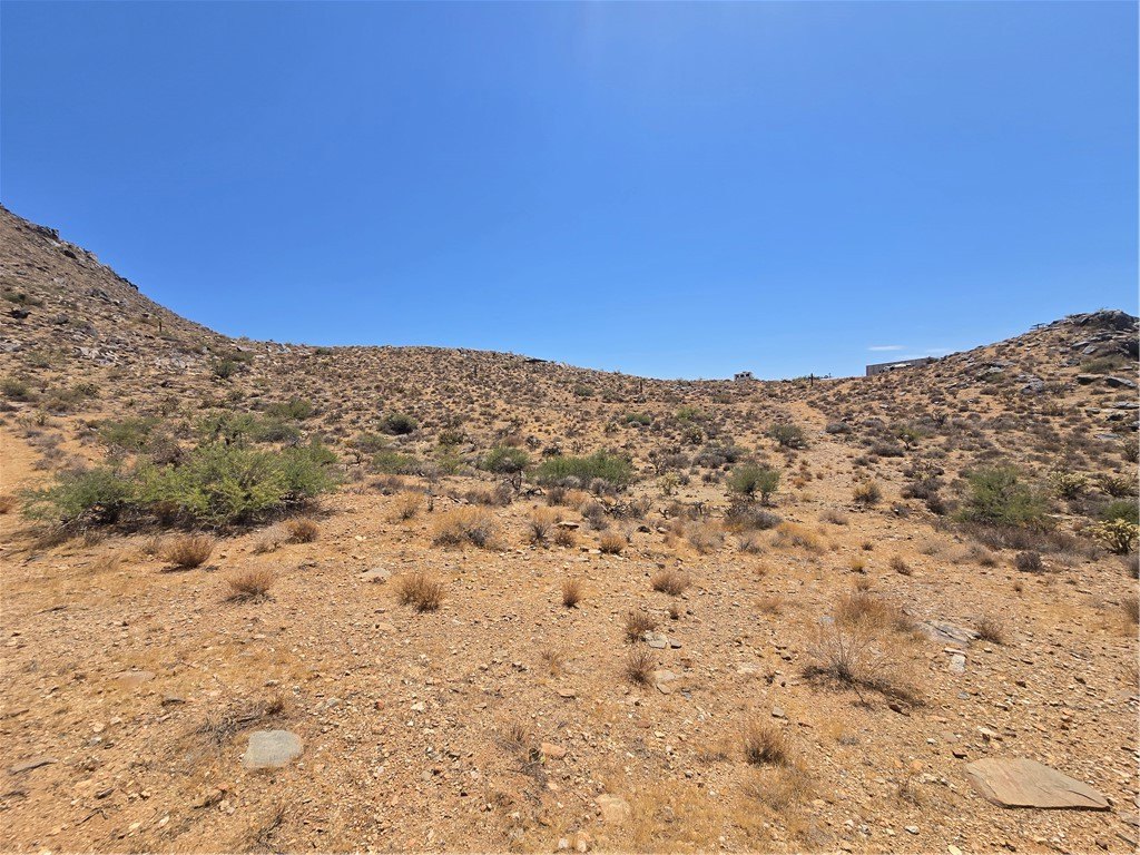 Picture 8