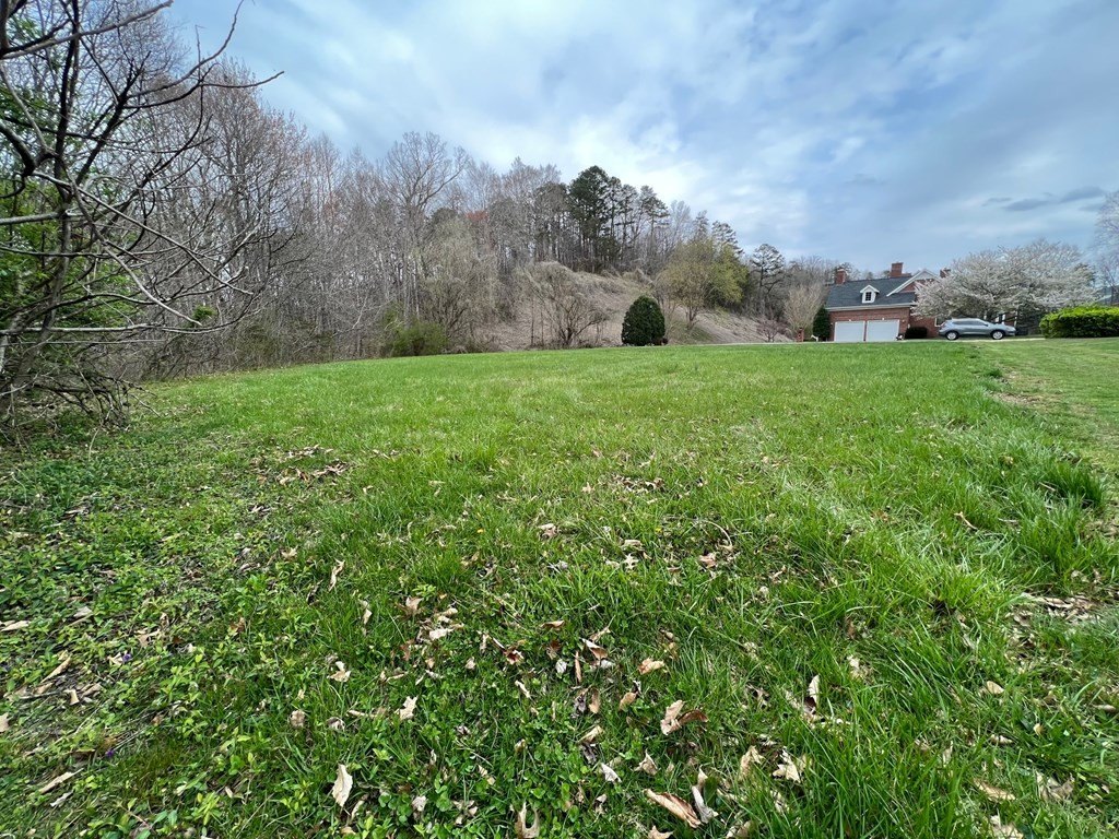 Picture 3