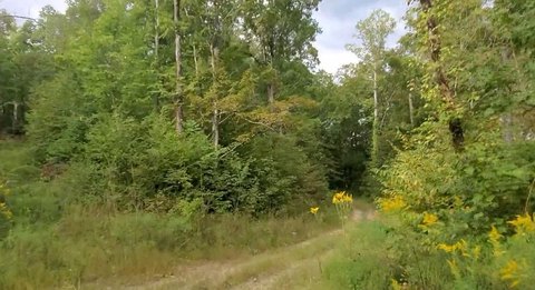 51.63 Acres Hunting/Recreational Land