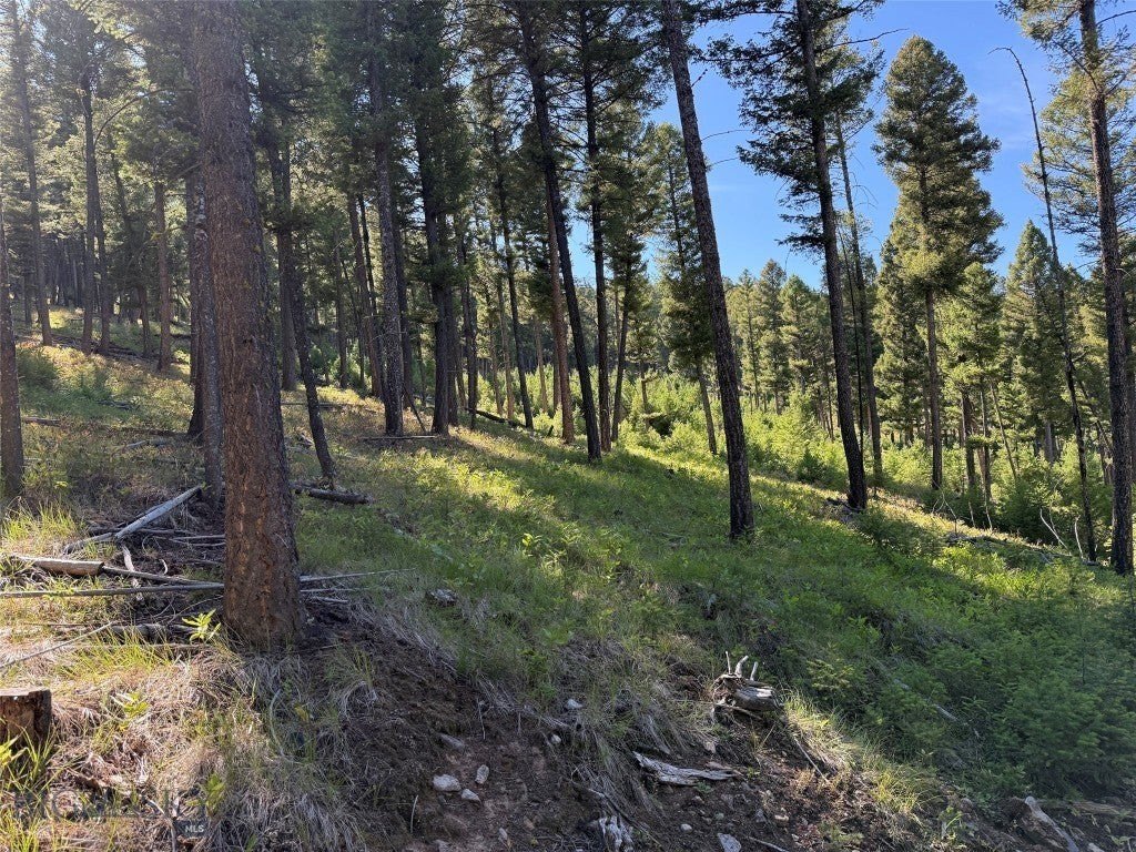 Picture 18