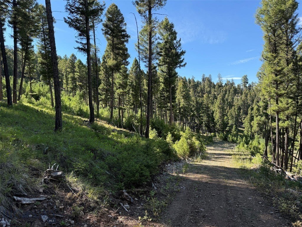 Picture 19