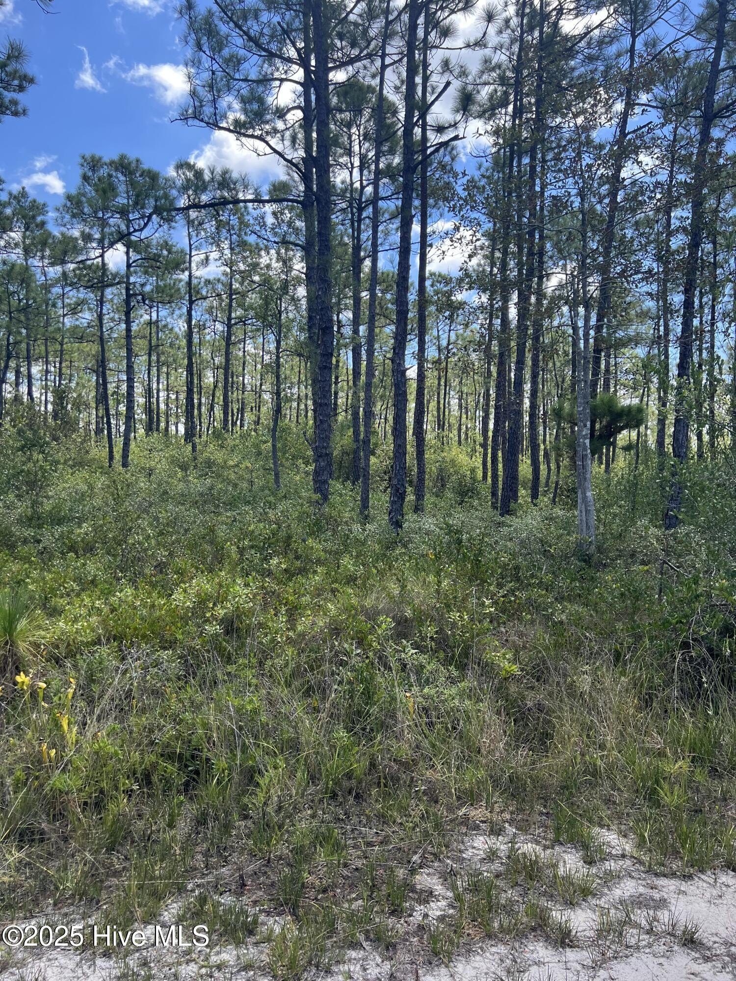 Land in Boiling Spring Lakes