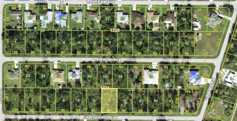 Residential Land in Punta Gorda