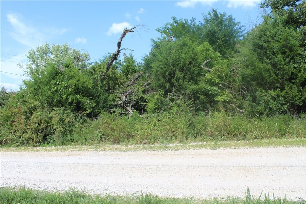 Picture 8