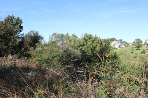 Land, West Des Moines, IA
