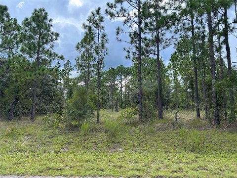 Land, DUNNELLON, FL