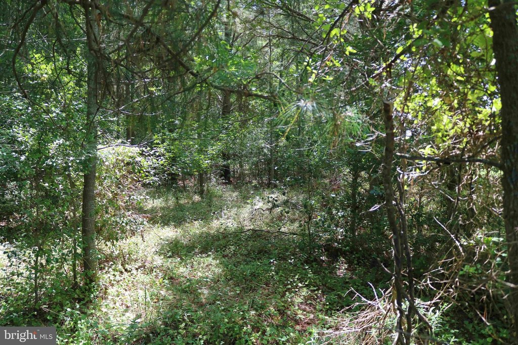 Picture 17