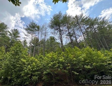LAND - Collettsville, NC