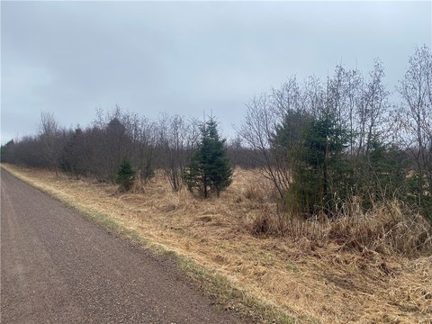 80 Acres in Ogema, WI