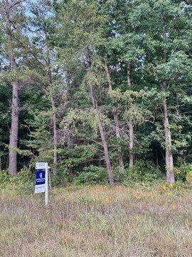 Wooded Acreage Near Baldwin