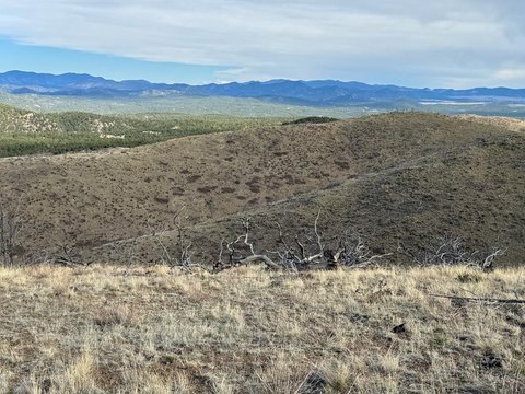 LAND - Cotopaxi, CO