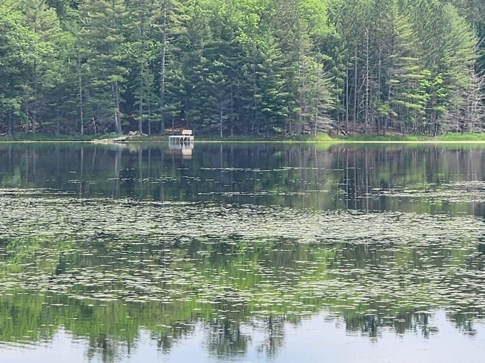 Picture 9