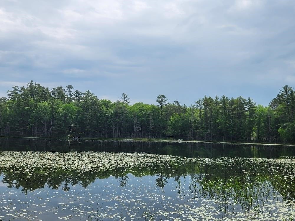 Waterfront Land in Interlocken Woods