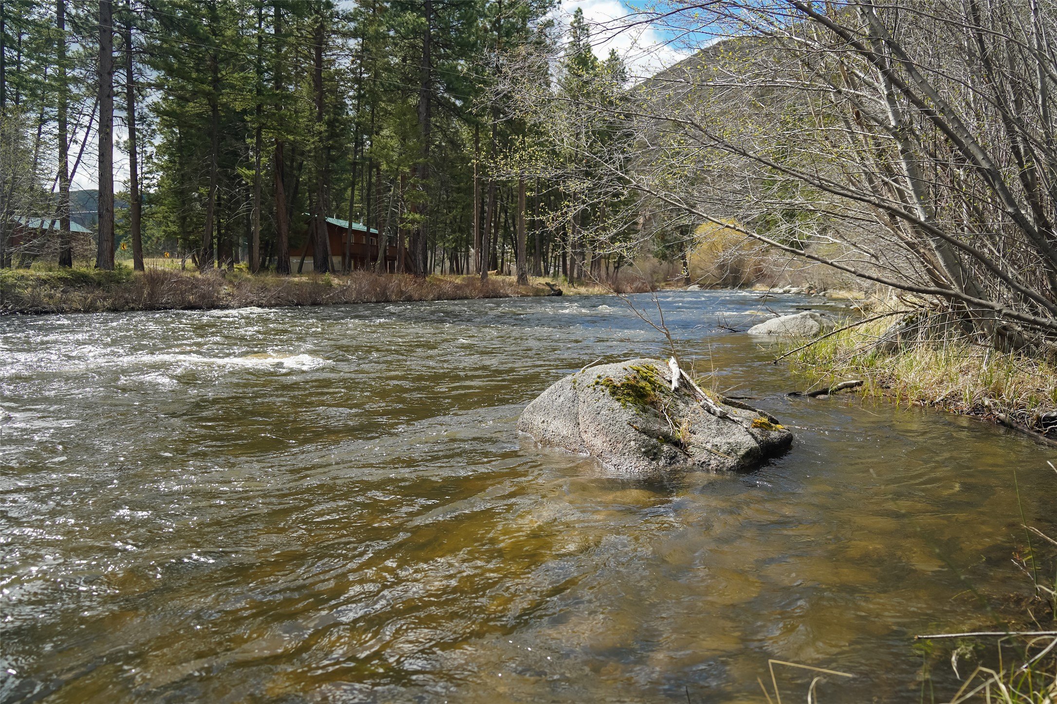 20 Acres in Bitterroot Valley