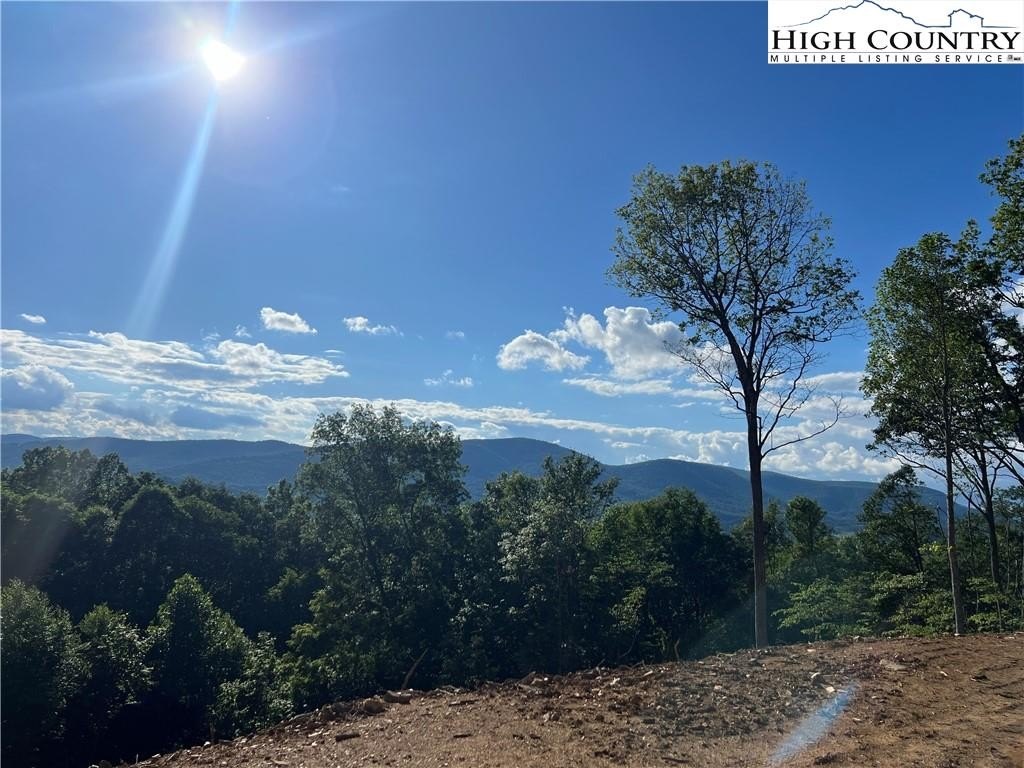 25 Acres in Gated Subdivision