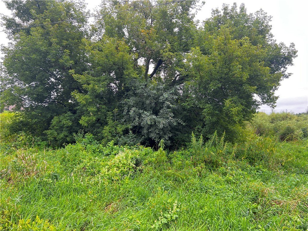 Land in Peaceful Country Setting