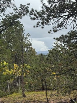 Land, Divide, CO