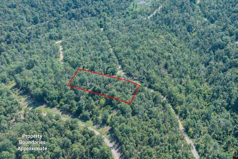 Vacant Lot Near Lake Norfork